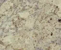 Bianco Romano